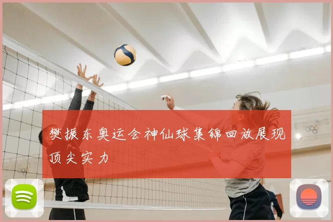 樊振东奥运会神仙球集锦回放展现顶尖实力