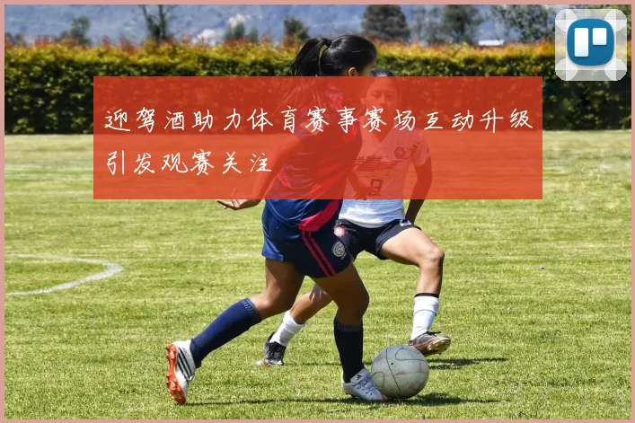 迎驾酒助力体育赛事赛场互动升级引发观赛关注